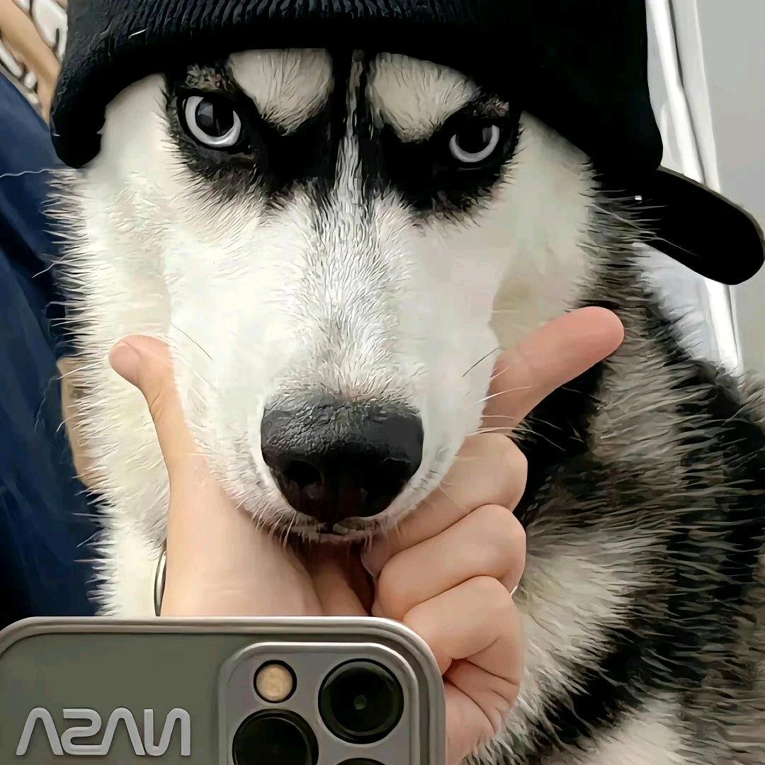 111
