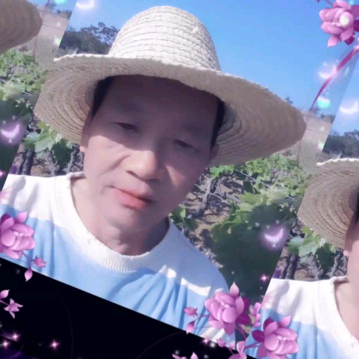 罗发林