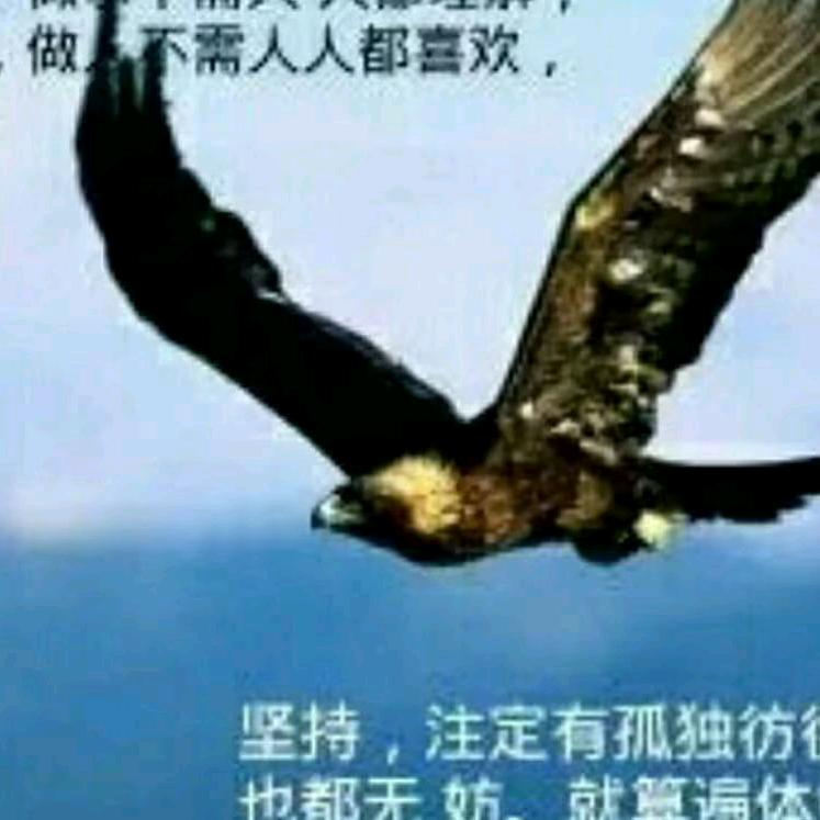 用户活在当下