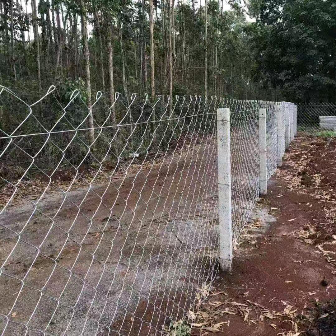 海南勾花网水泥柱围栏