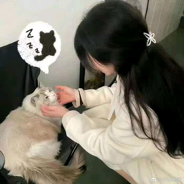 王梦梦