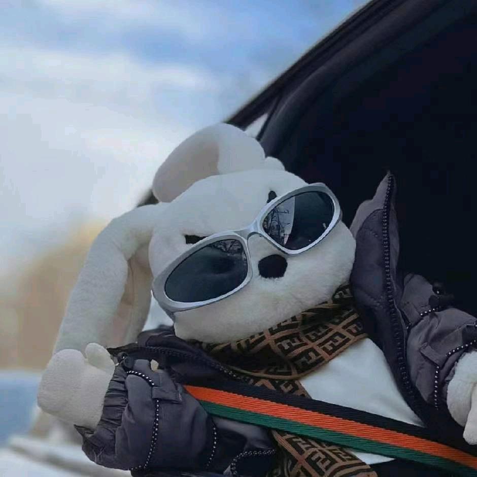 yoyi