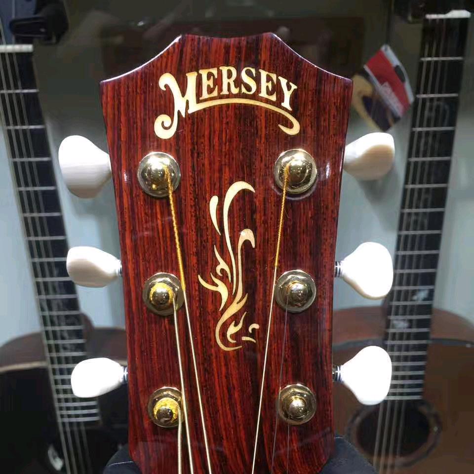 晨阳🎸🎸🎸