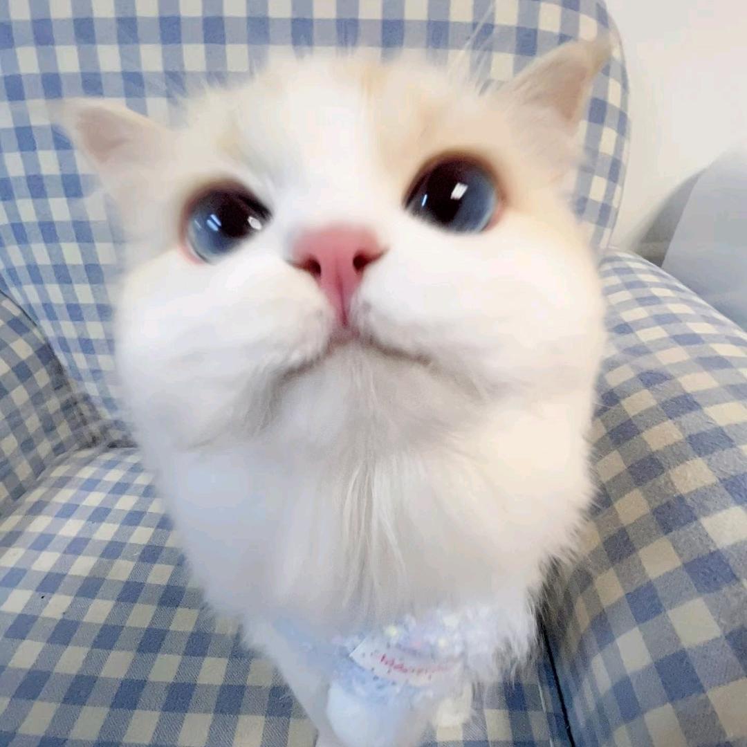 景德镇李圣经.