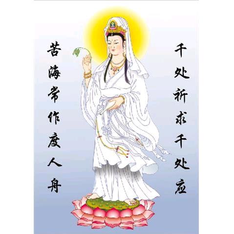 佛渡有缘人杨老师