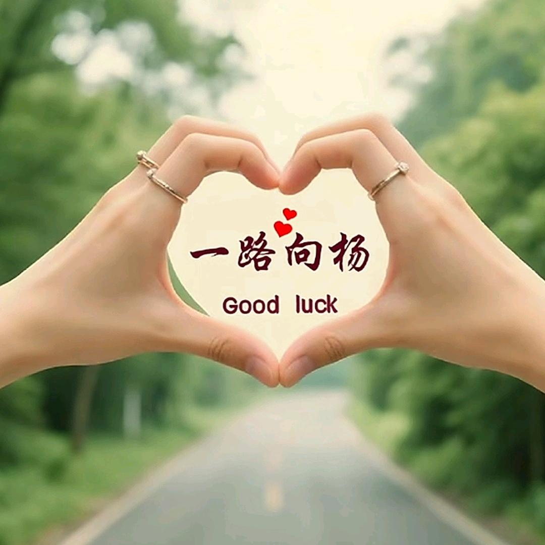 一路向杨