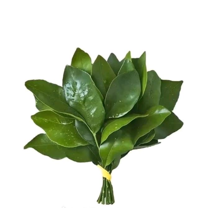白芊露