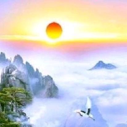 陸  條