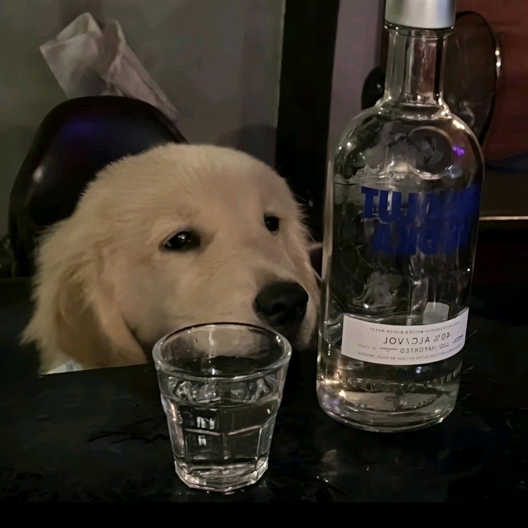 人丑嘴不甜长的安全还没钱