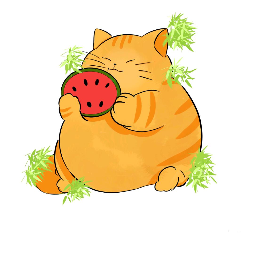 摸鱼男孩