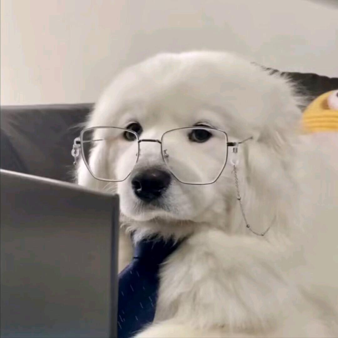 🌈我是小狗狗