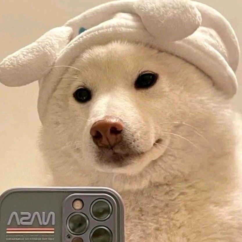 无聊的一天