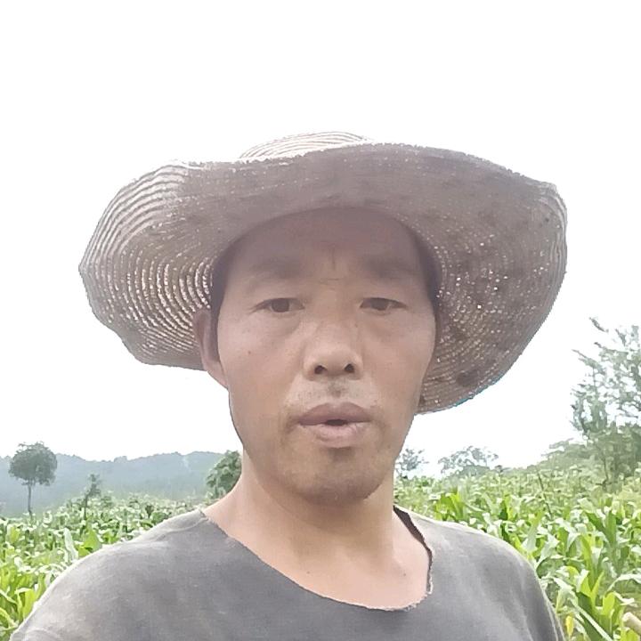 袁代勇养殖