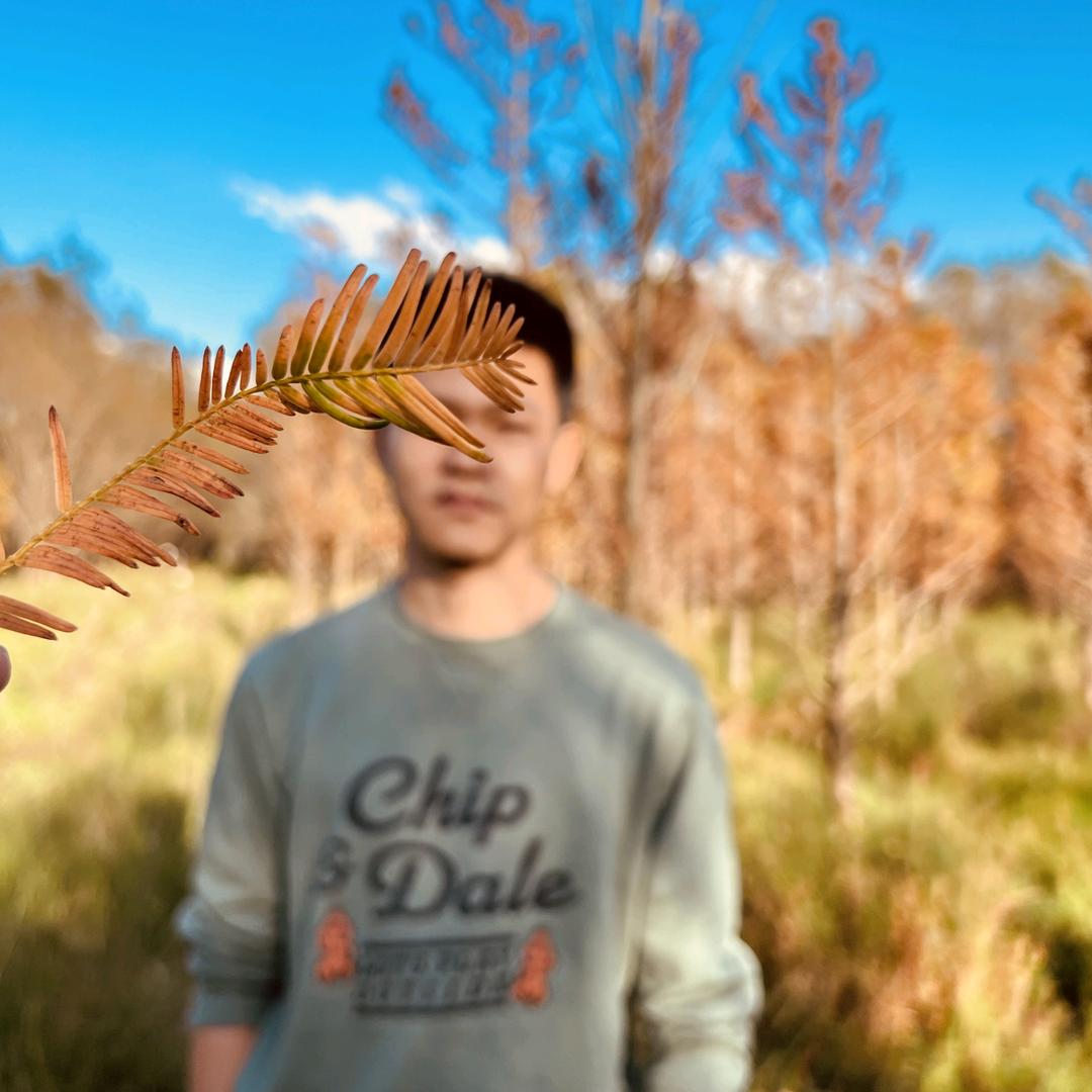 大角