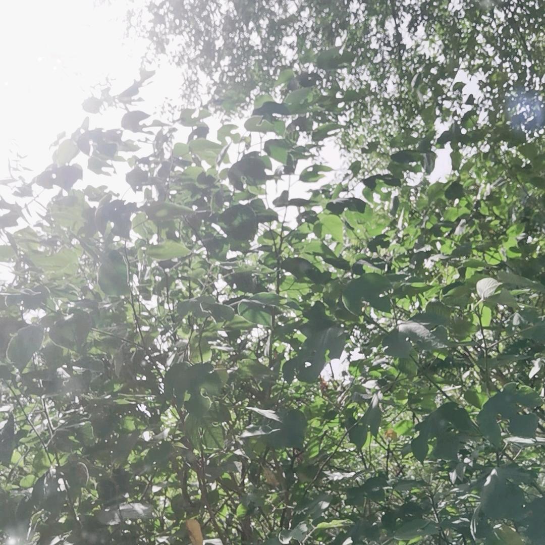 大骗子杜福义欠钱不还