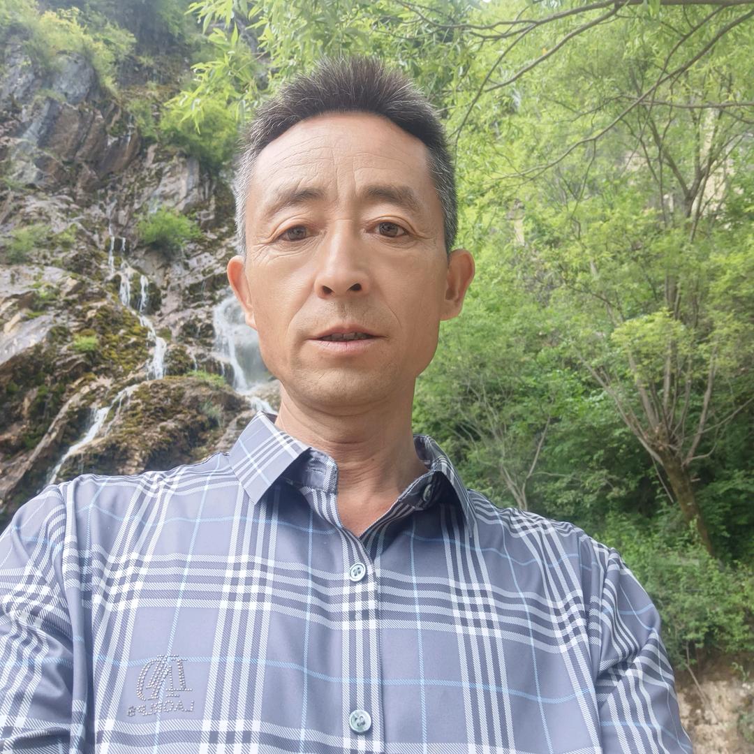 甘小迎春