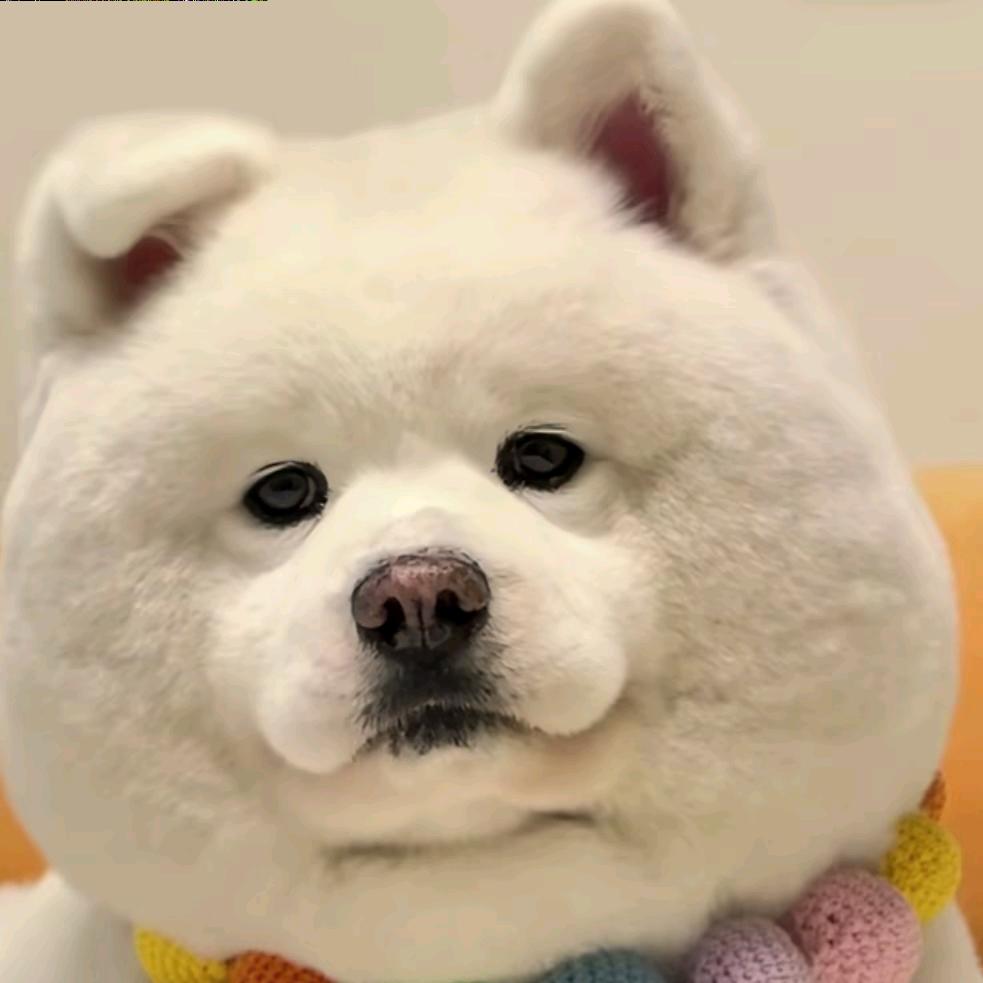 那些年走过的岁月