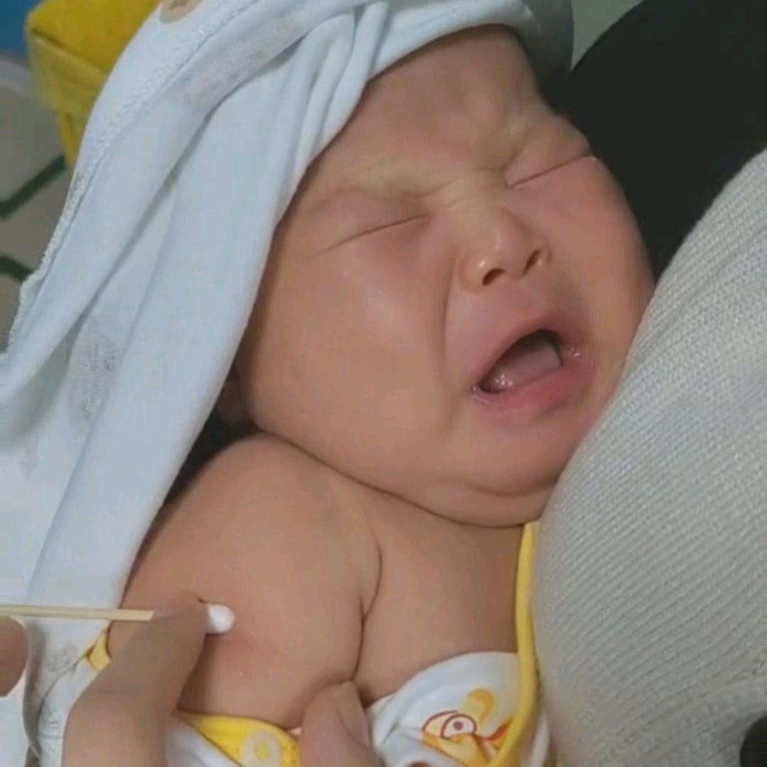 是乐乐呀