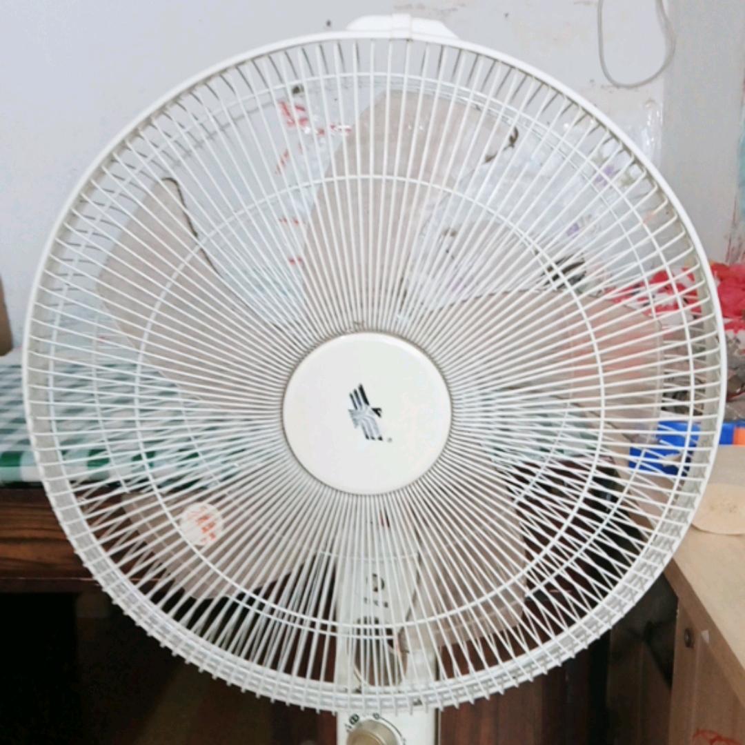 春去花还在
