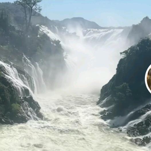 永不放弃✔✔✔