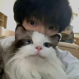 。