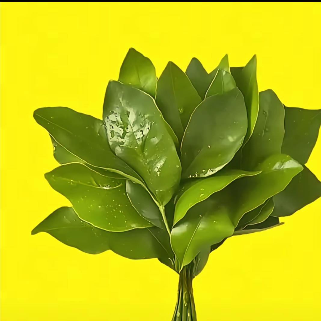 （潮庄）亚辉吊顶+柜子