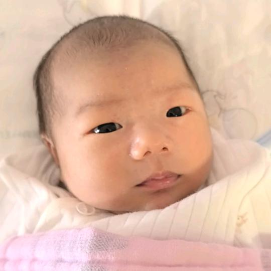 熙雯宝宝成长记