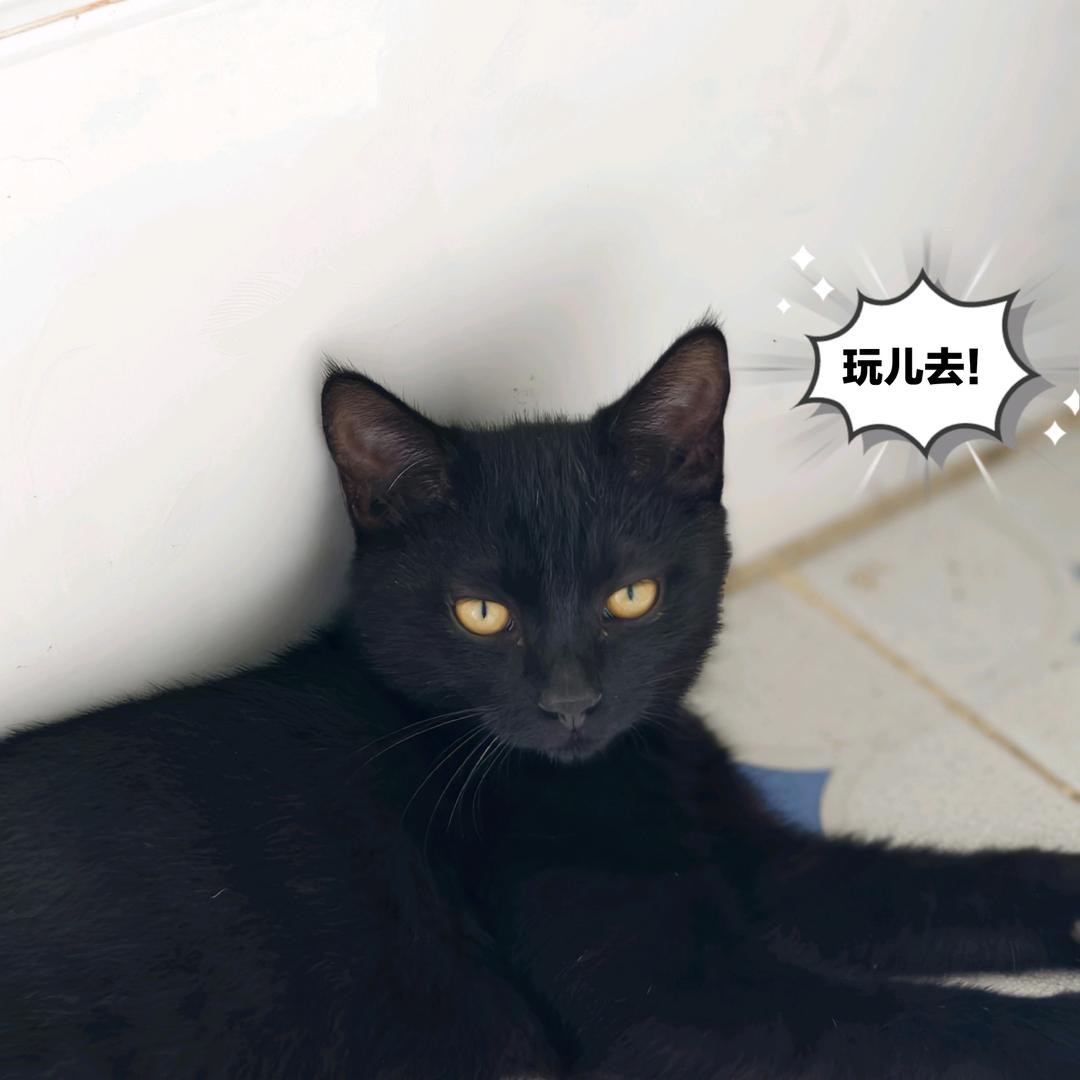 好好学习