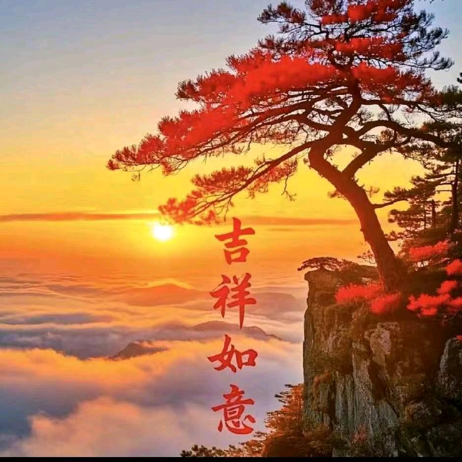 一人的孤独十心累