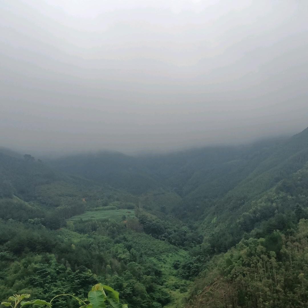 实现梦想