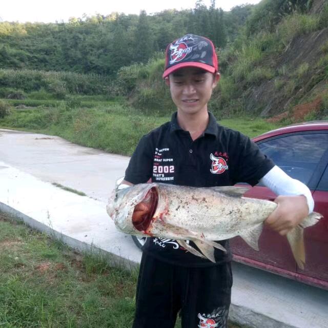 江哥—非鱼不可