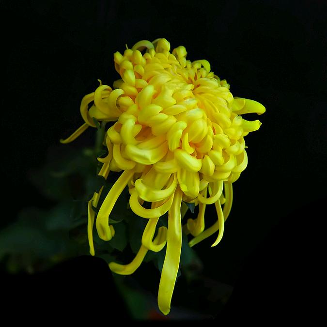 元姐⁸⁸☀Zy