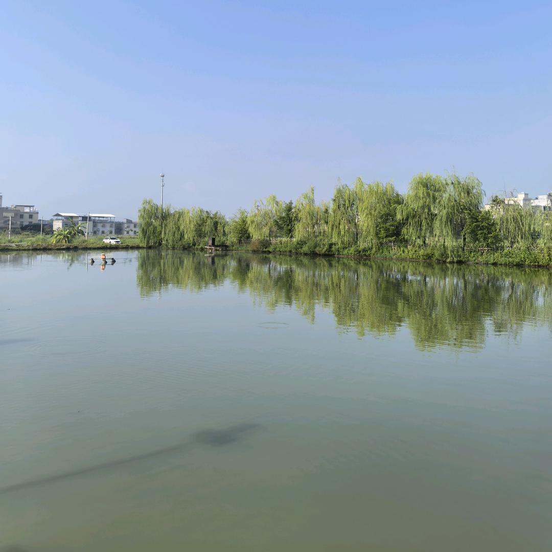 知足常乐