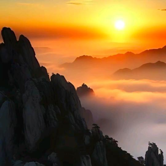 举杯敬往后   来日敬岁月