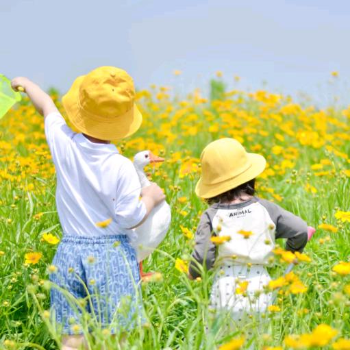 @洋洋戈戈🇨🇳