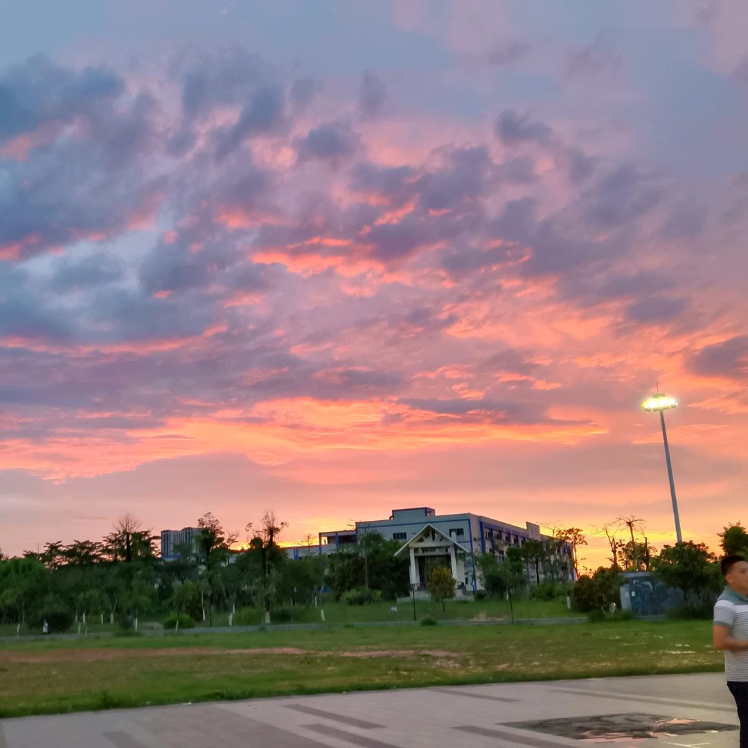 陳不听