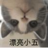 🌈胖五不肥