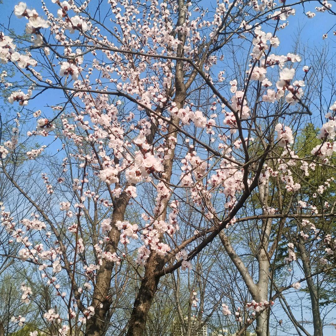 你好，流年