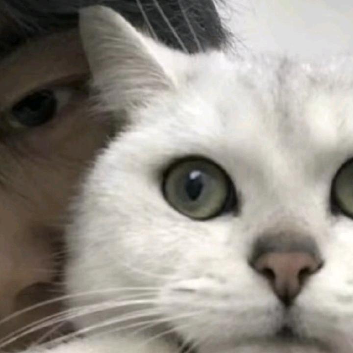 7_^斩情^
