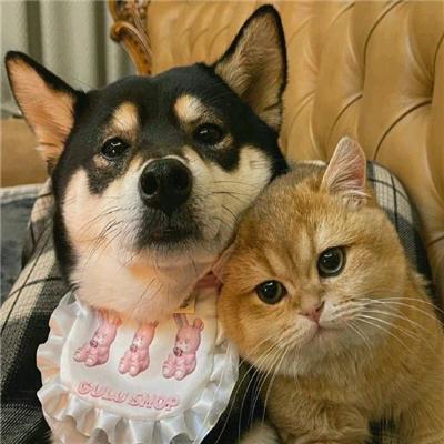 看我作品
