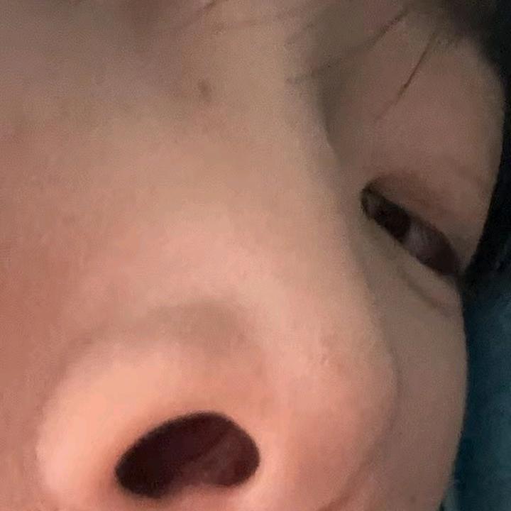 用户8668528717166