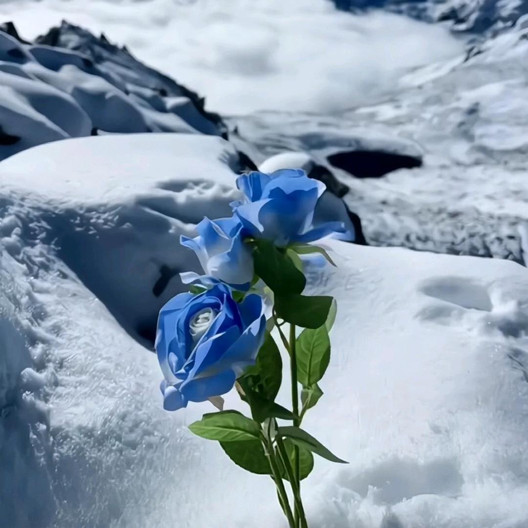ℳ̶̶̶̶♡̶҉心之所愿ℳᥫᩣ