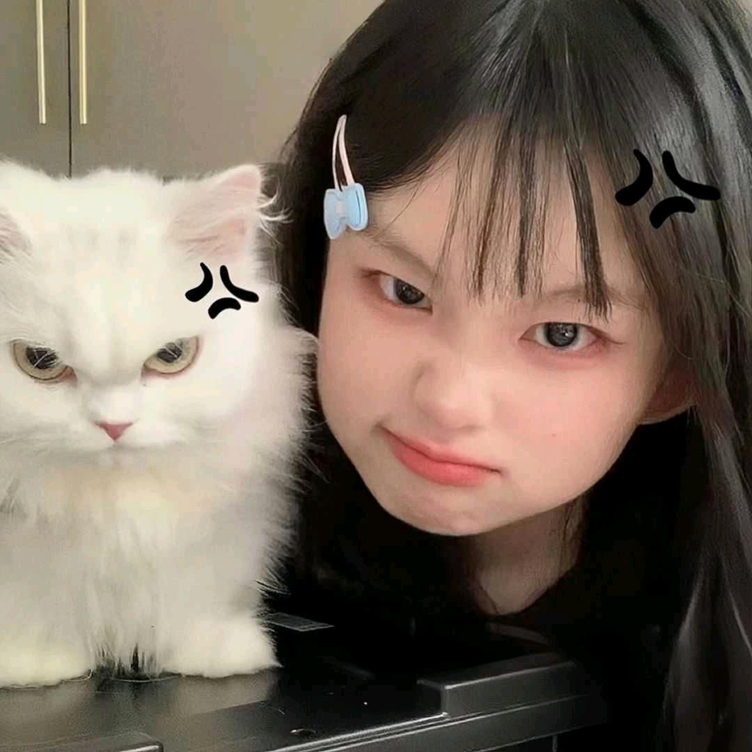 ☋LP