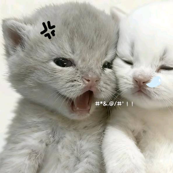悲痛生锈