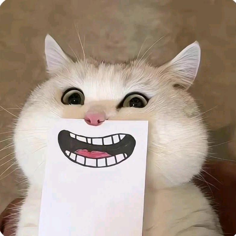 咩