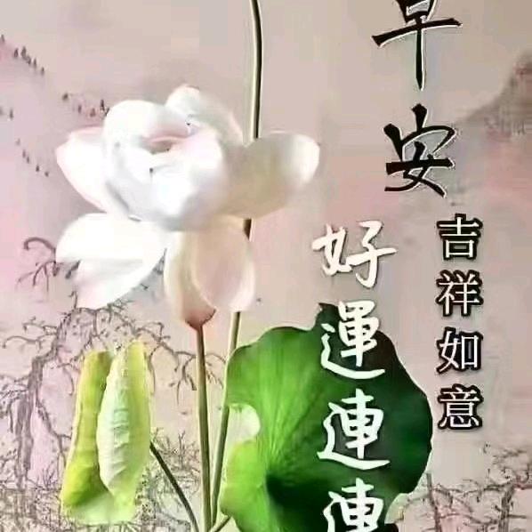 张姐手工编织活