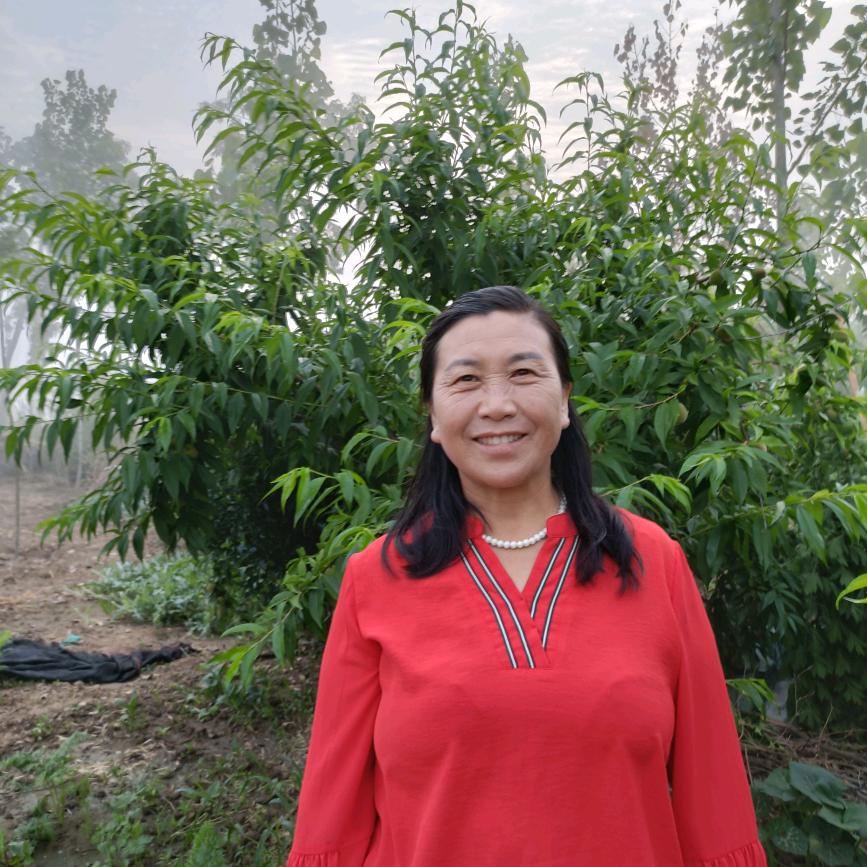 葛姐  （每天下午6点10开播）