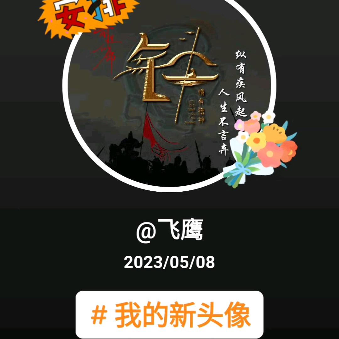 飞鹰