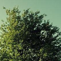 图很晚啦家里人