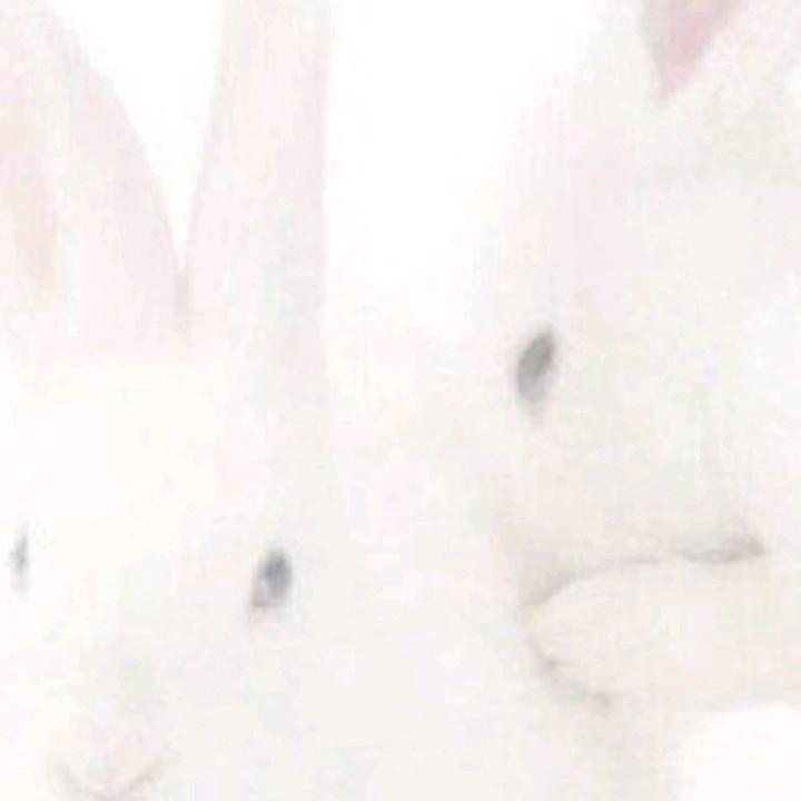 相守以沫。萍儿